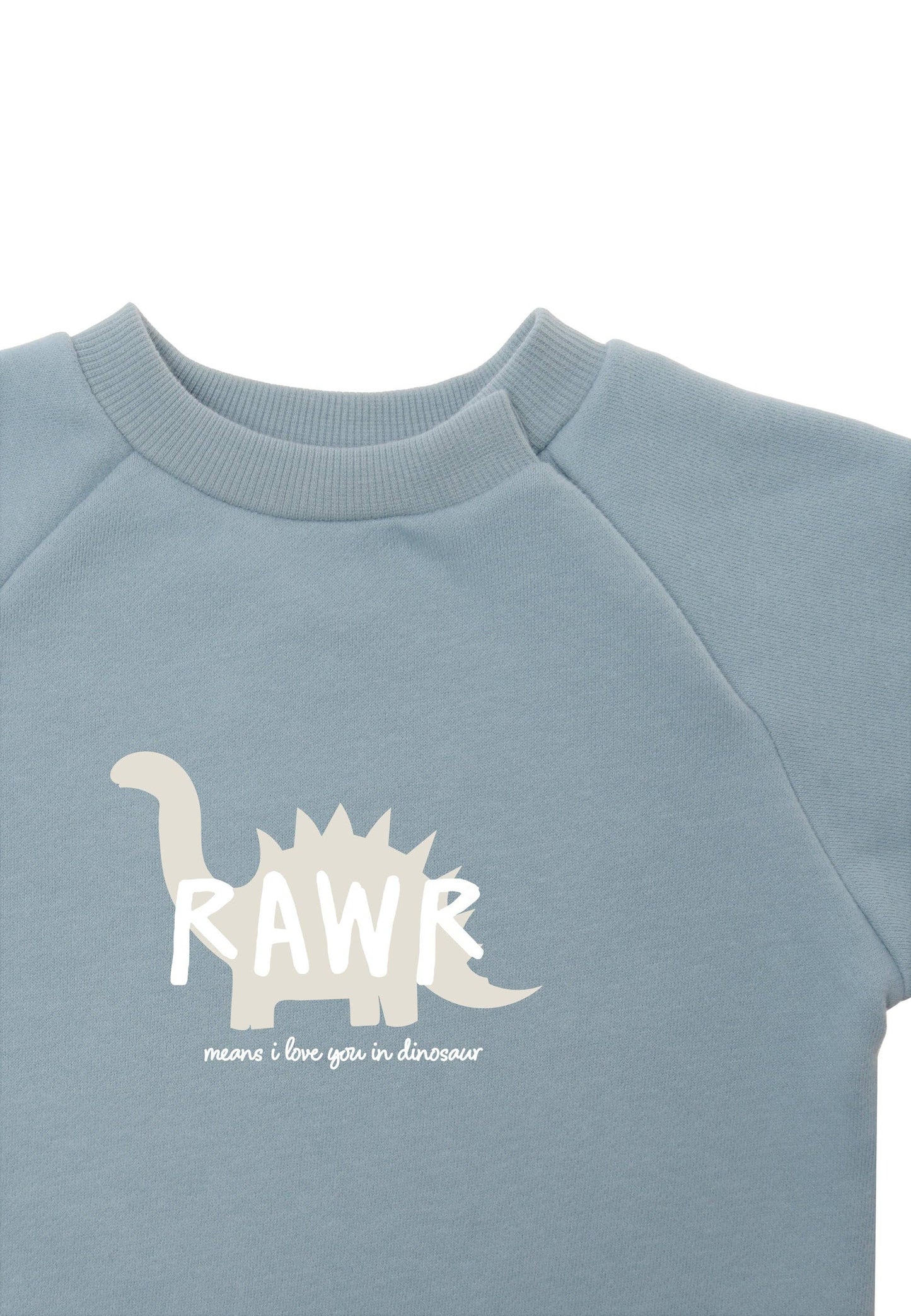 Sweatshirt in hellblau "Dinosaurier"