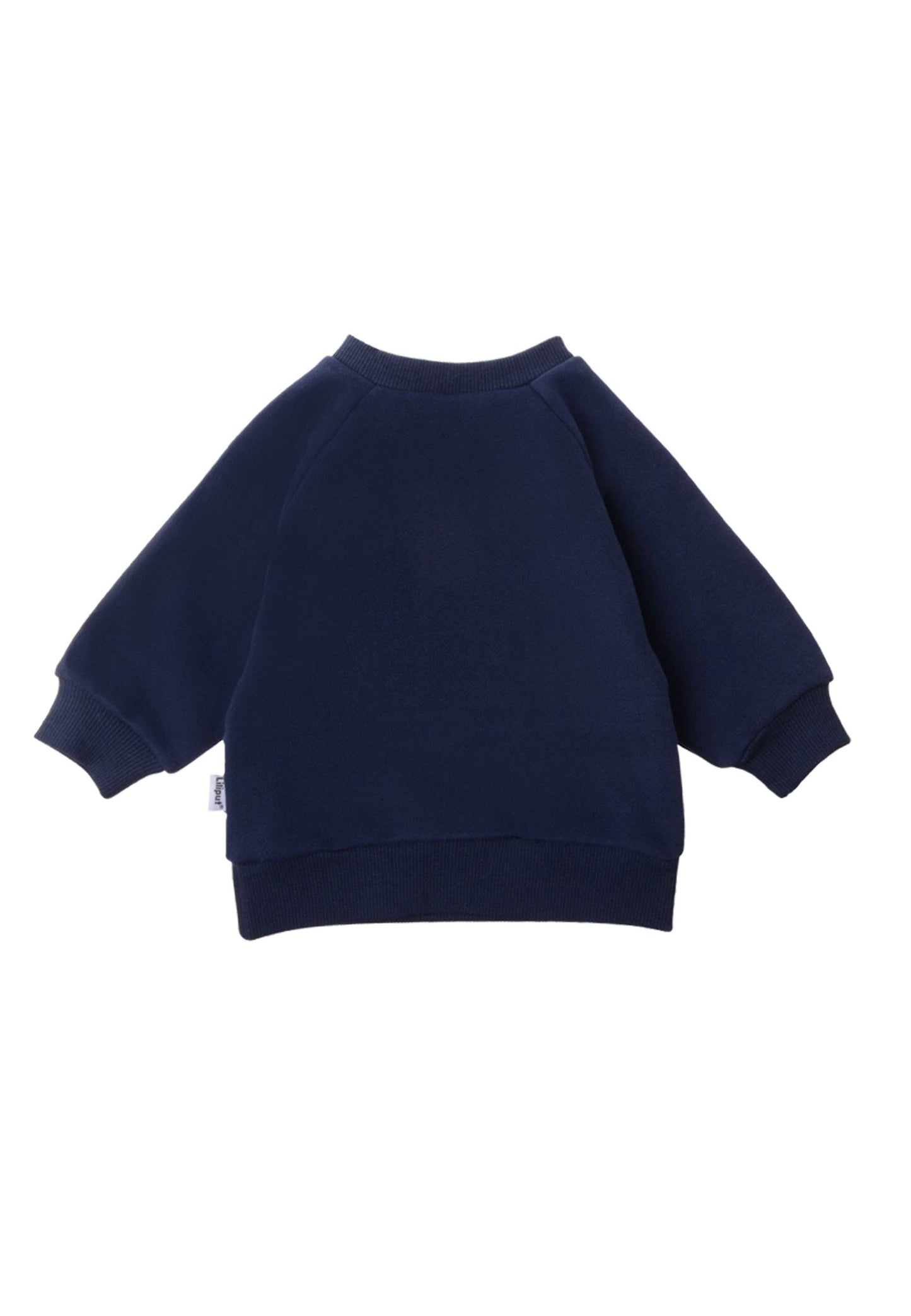 Sweatshirt in blau "moin"